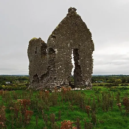 Knocklong Cottage Feriehus *